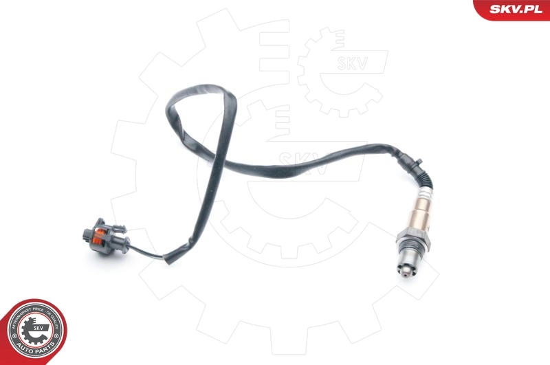 Oxygen Sensor